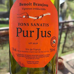 Pur Jus - Fons Satanis - benoit-braujou