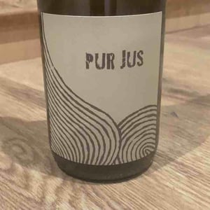 Pur Jus - Léo Dirringer - leo-dirringer