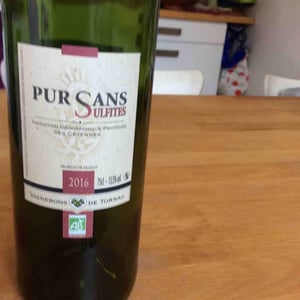 Pur Sans Sulfites - Vignerons de Tornac - vignerons-de-tornac
