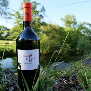Pure Carménère Carmine - Château Le Geai - henri-duporge
