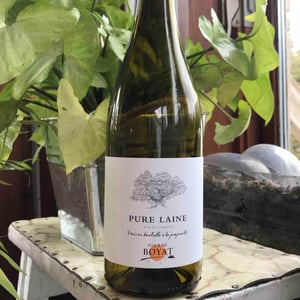 Pure Laine - Pierre Boyat - Pierre Boyat 
