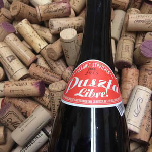 Puszta Libre 2015
