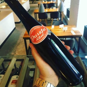 Weingut Claus Preisinger - Claus Preisinger - Puszta Libre
