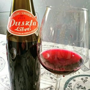 Weingut Claus Preisinger - Claus Preisinger - Puszta Libre