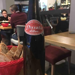 Puszta Libre 2017