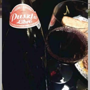 Puszta Libre - Weingut Claus Preisinger - claus-preisinger