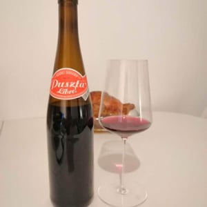 Puszta Libre - Weingut Claus Preisinger - claus-preisinger