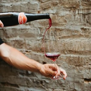 Puszta Libre - Weingut Claus Preisinger - claus-preisinger
