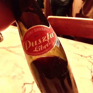 Weingut Claus Preisinger - Claus Preisinger - Puszta Libre