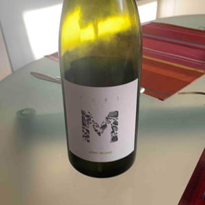 Pure M - Le Jonc Blanc - isabelle-carles-franck-pascal