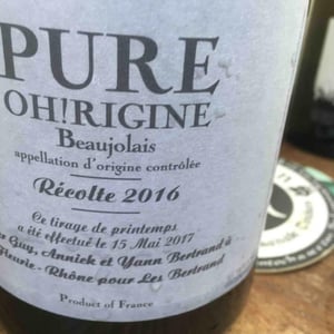 Les Bertrand - Guy, Annick & Yann Bertrand - Pure Oh!Rigine