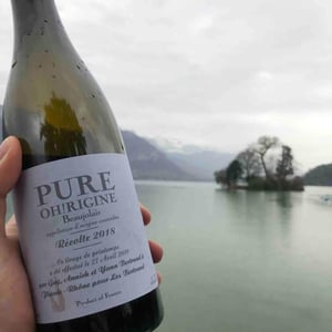 Pure Oh!Rigine - Les Bertrand - Guy, Annick & Yann Bertrand 