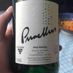 Purellus Pet Nat - Weingut Trossen - rita-rudolf-trossen