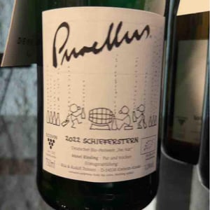 Purellus Pet Nat - Weingut Trossen - rita-rudolf-trossen