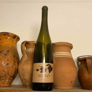 Puro - Szóló Wine - Timea Eless 