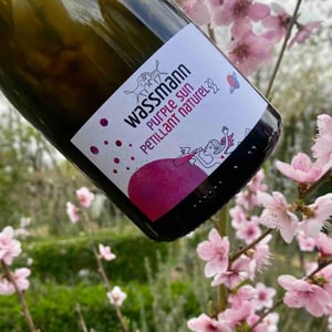Purple Sun Pétillant Naturel - Weingut Wassmann - Susann Hanauer & Ralf Wassmann -2022