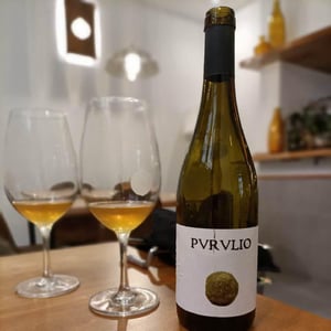 MSCTL - Viñas de Purulio-Bodega Torcuato Huertas Tomás - tomas-torcuato-huertas