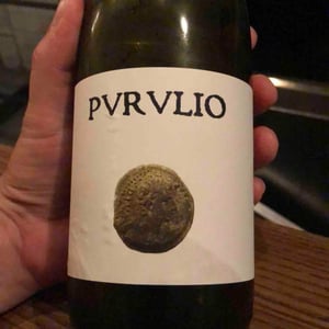 MSCTL - Viñas de Purulio-Bodega Torcuato Huertas Tomás - tomas-torcuato-huertas