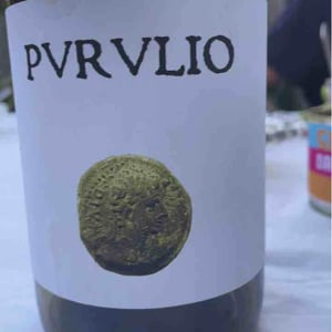 MSCTL - Viñas de Purulio-Bodega Torcuato Huertas Tomás - tomas-torcuato-huertas