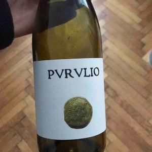 MSCTL - Viñas de Purulio-Bodega Torcuato Huertas Tomás - Tomás Torcuato Huertas 