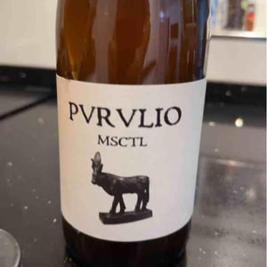 MSCTL - Viñas de Purulio-Bodega Torcuato Huertas Tomás - Tomás Torcuato Huertas 