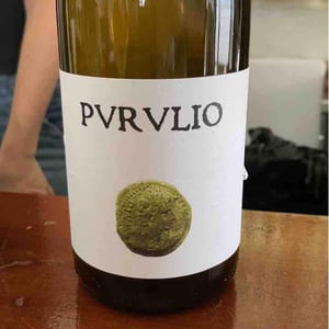 MSCTL - Viñas de Purulio-Bodega Torcuato Huertas Tomás - tomas-torcuato-huertas