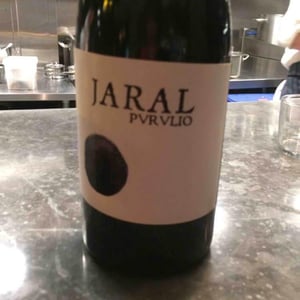 Purulio Llano del Jaral 2013
