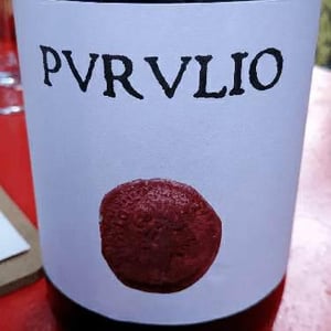 Purulio Tinto - Viñas de Purulio-Bodega Torcuato Huertas Tomás - Tomás Torcuato Huertas