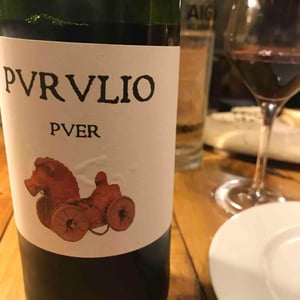 Purulio Tinto - Viñas de Purulio-Bodega Torcuato Huertas Tomás - Tomás Torcuato Huertas 