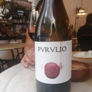 Purulio Tinto - Viñas de Purulio-Bodega Torcuato Huertas Tomás - tomas-torcuato-huertas