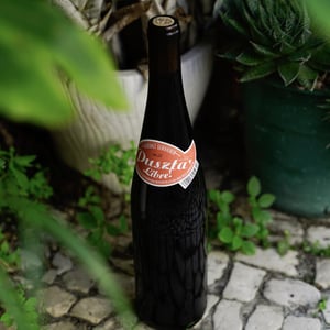 Puszta Libre - Weingut Claus Preisinger - claus-preisinger