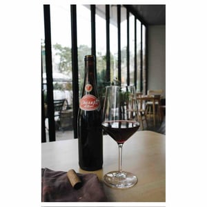 Puszta Libre - Weingut Claus Preisinger - claus-preisinger
