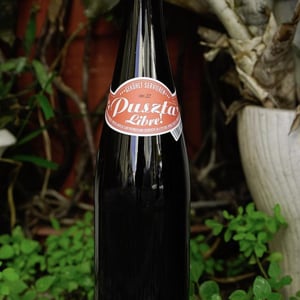 Puszta Libre - Weingut Claus Preisinger - Claus Preisinger 