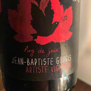 Puy De Joie - Gougis - jean-baptiste-gougis