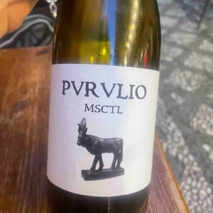 MSCTL - Viñas de Purulio-Bodega Torcuato Huertas Tomás - tomas-torcuato-huertas