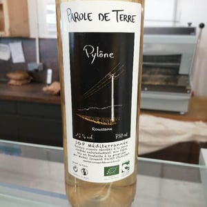 Pylône - Parole de Terre - michel-isouard