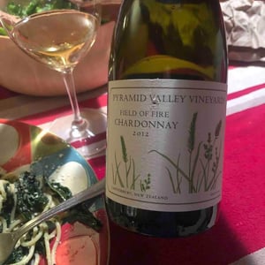 Pyramid Valley Vineyards - Canterbury, New Zealand - field-of-fire