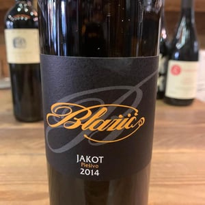 Jakot - Blažič - simona-borut-blazic -2014