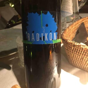 Radikon - Famiglia Radikon - Jakot