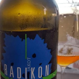 Radikon - Famiglia Radikon - Jakot