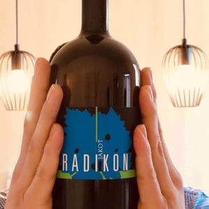 Radikon - Famiglia Radikon - Jakot