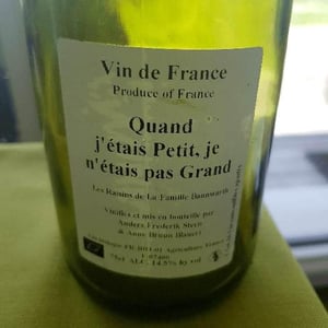 Quand j'étais Petit, je n'étais pas Grand (X Laurent Bannwarth) - Anders Frederik Steen & Anne Bruun Blauert - Anders Frederik Steen & Anne Bruun Blauert 