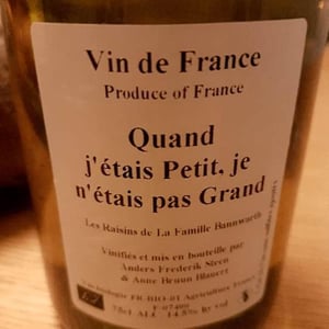 Quand j'étais Petit, je n'étais pas Grand (X Laurent Bannwarth) - Anders Frederik Steen & Anne Bruun Blauert - Anders Frederik Steen & Anne Bruun Blauert 