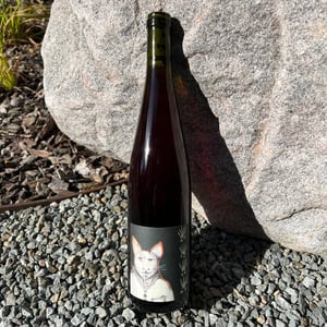 Quand le Chat N'Est Pas Là - Domaine Rietsch - jean-pierre-sophie-rietsch