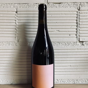 Quarto (Mallorca) - Panduro Vinos Mallorca - ibon-apezteguia-henrik-falk