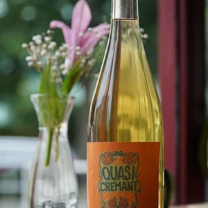 Quasi Cremant - Vinařství Petr Koráb - petr-korab