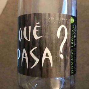 Qué Pasa rosé - Domaine Léonine - jordan-le-guyader-nj