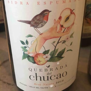 Quebrada del Chucao - 