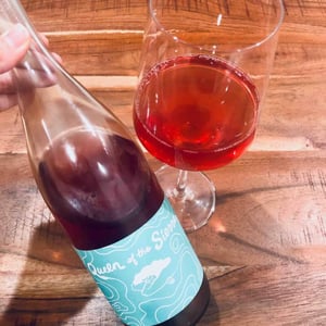Queen Of The Sierra Estate Rose - Forlorn Hope - matthew-rorick