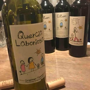 Quercia Laboriosa 2017